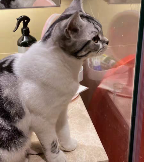 收费 40+元/次（具体收费内容需商议决定...