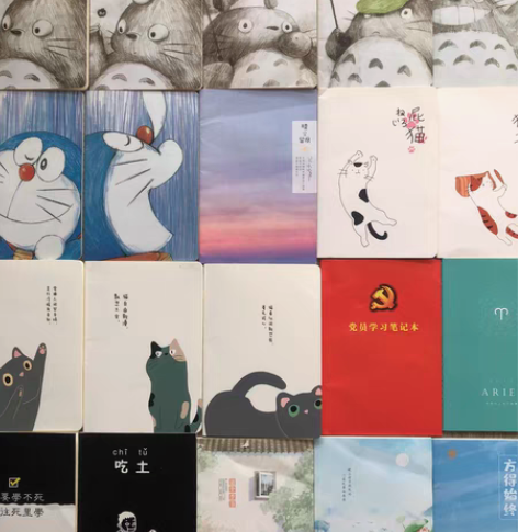 各种笔记本小本子便签 各种全新的不同图案不...