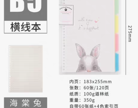 转卖笔记本女文具a5康奈尔本子小清新大学生...