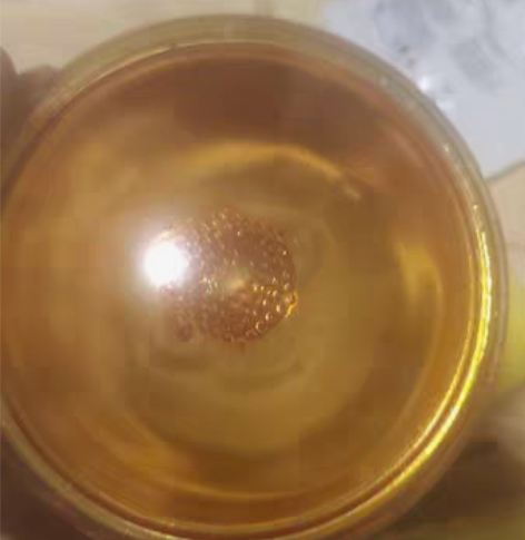 包邮美国库存正品GE 5V30W 灯泡摩托...