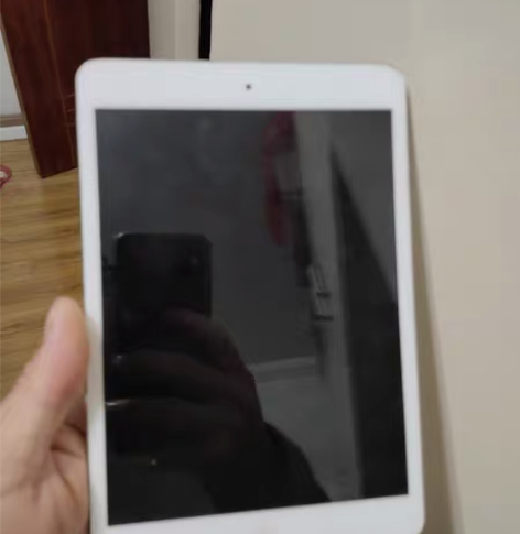 闲置 ipad mini 多正常，有想要的...