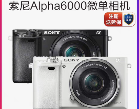 转卖Sony/索尼 Alpha6000L ...