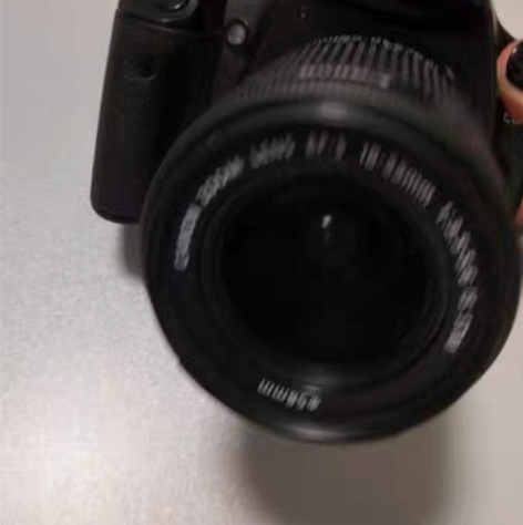 佳能 ESO 450D 入门级单反数码照相...