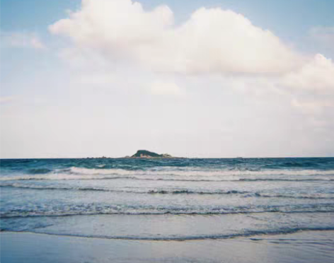 包邮全新德国VIBE 501F相机非一次性...