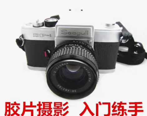 转卖海鸥DF1带58/2镜头套机收藏古董胶...