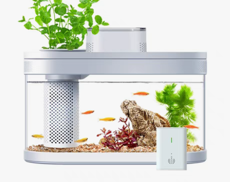 转卖小米有品画法几何两栖生态观景鱼缸小型客...
