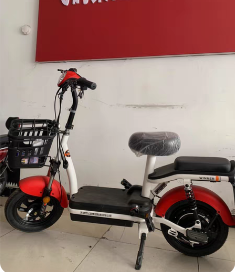 #电动车整车 #FLYING PIGEON...