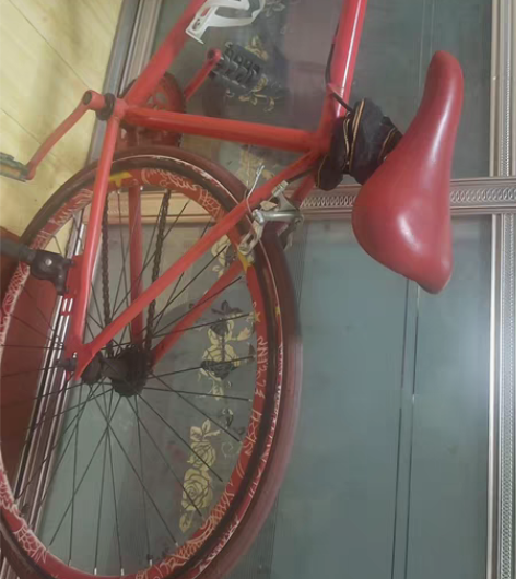 包邮活飞单车 包邮 带锁 自己买的 铁链的...