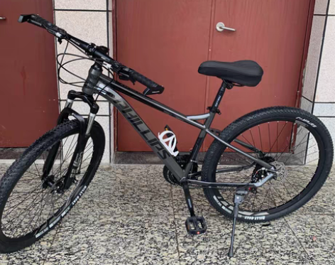 包邮【低价清仓】菲利普山地车自行车男式大人...