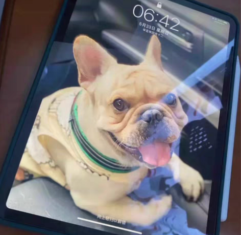 包邮成色好2020新款iPad平板电脑，1...