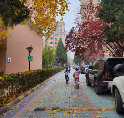 孩子刚买的折叠自行车，很实用 感兴趣的话点...