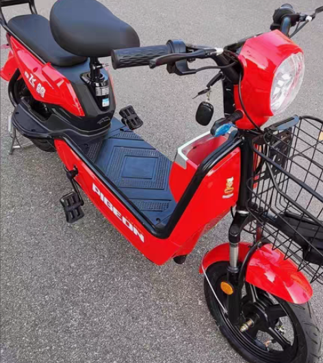 包邮实体发货全新飞鸽新国标电动车成人电动自...