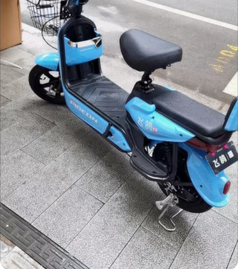 自用飞鸽电动车48v，24ah天能电池，无...