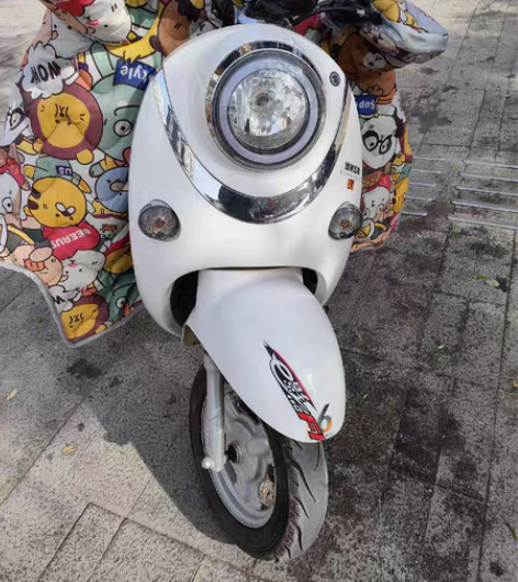 包邮绿洲五羊电动车 车子没磕碰，没划痕 冬...