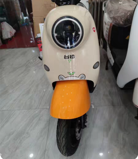 台铃新款电动车，5块大电池超长续航，600...