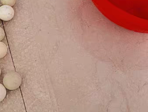 107个练习乒乓球 双鱼和金亚牌混合¥50...