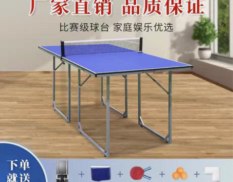 乒乓球桌 乒乓球球台乒胤迷你室内儿童家用可...