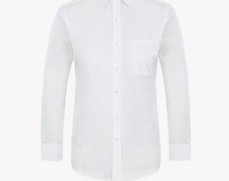 转卖雅戈尔白衬衫秋纯棉男士衬衫DP免烫商务...