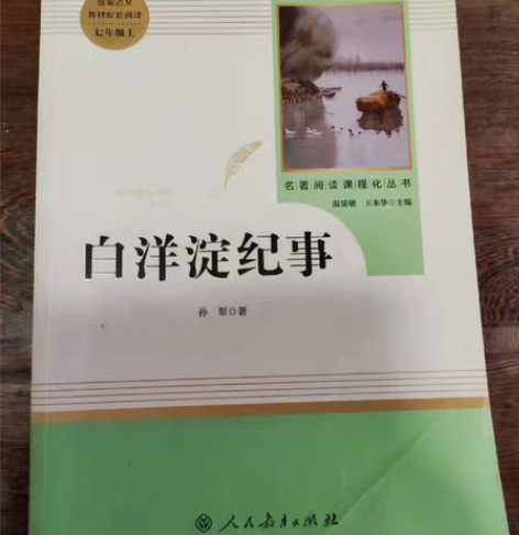 包邮白洋淀纪事 人民教育出版社正版 原价3...
