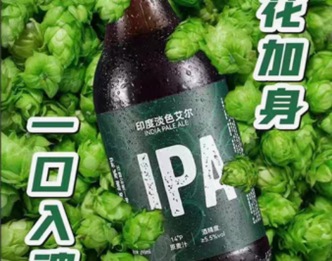 青焰IPA精酿原浆啤酒 山东青岛特产 印度...