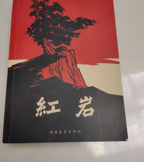 文学作品红岩，买了没翻过，几乎全新，高三出...