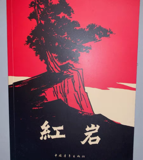 红岩 小说 直接拍 全新 仅拆封 没看过￥...