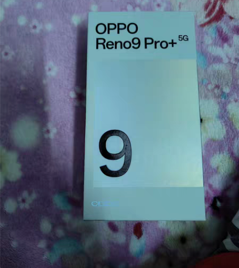 OPPO Reno9 Pro+黑色16+2...