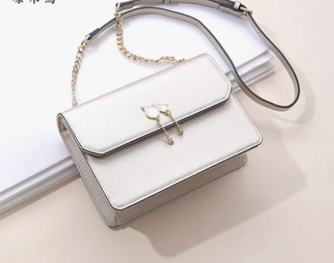 转卖啄木鸟女包2018新款链条包时尚单肩包...