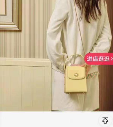 包邮纽芝兰小众高级质感手提小提包，2022...