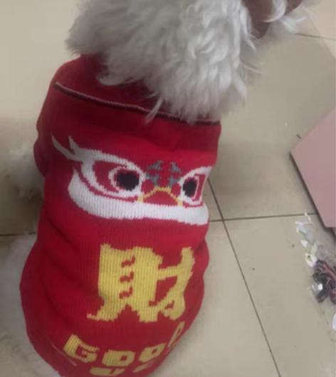 所有地区话，电信移动都行一次性到账，走平台...