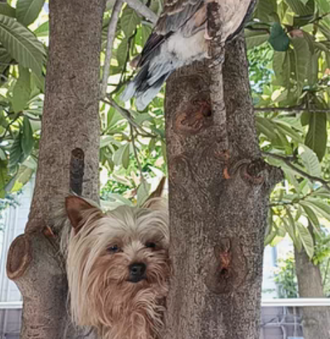 包邮湖南电信贵州移动87折，90起步，充3...