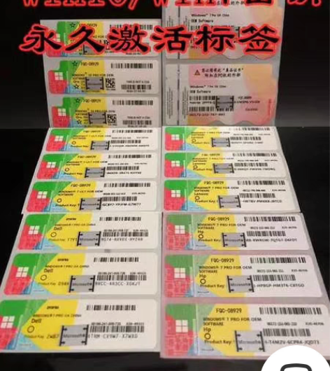 正版Windows10/11/7 Pro/...