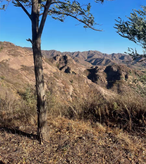 包邮远程电脑维护,电脑维修,重装系统,c盘...