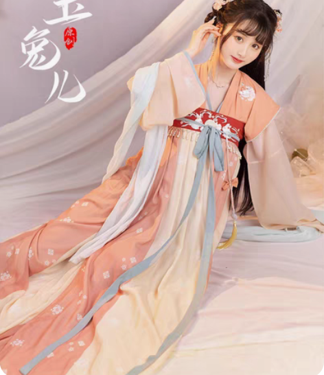包邮科幻汉服,友爱宋制 玉兔儿 唐背...