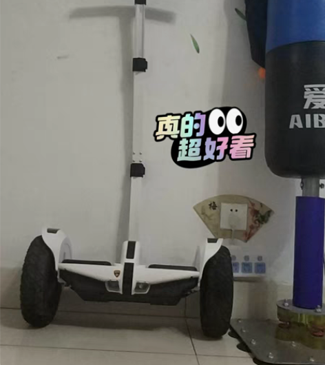 品牌德国左拉， 新款智能电动平衡车 多功能...