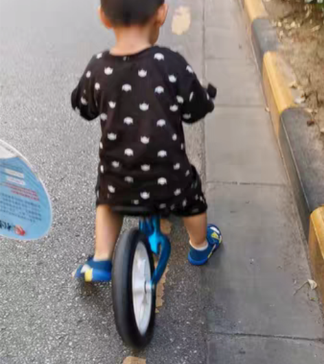 凤凰牌平衡车闲置出：360度方向盘，发泡轮...