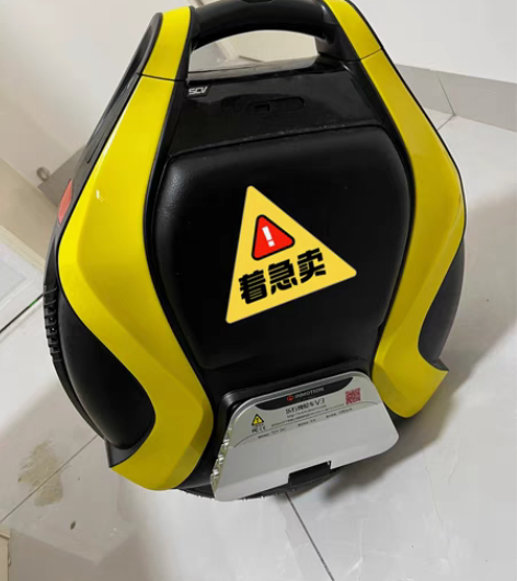 包邮双轮并齐平衡车，全新只拆封没骑过，在家...
