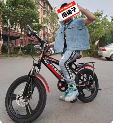 凤凰儿童自行车8-10-12岁中大童 学生...