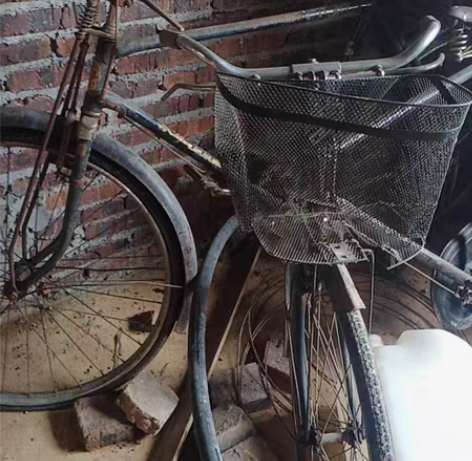 老式上海凤凰牌和上海永久自行车2辆 感兴趣...