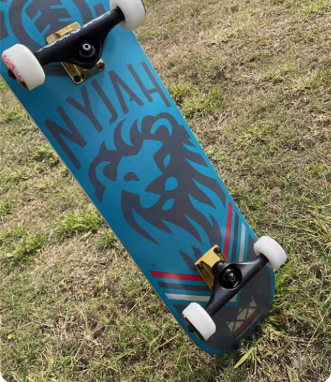 包邮便宜出element进口滑板双翘滑板刷...