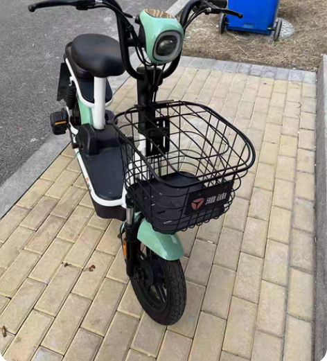 雅迪国标电动车48/12的电池  ，平时自...