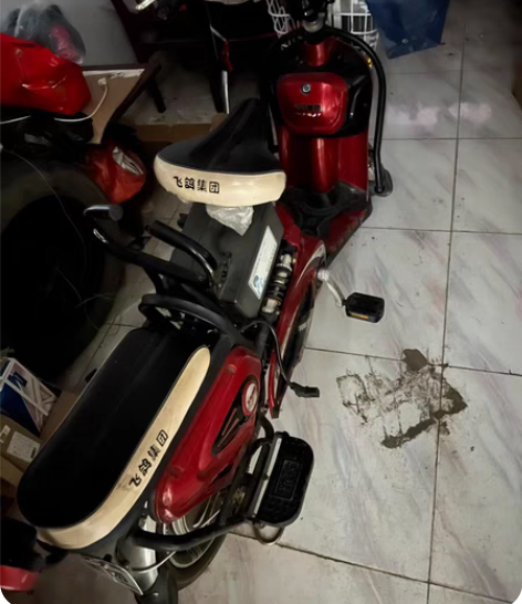 闲置二手电动车，飞鸽牌 感兴趣的话点“我想...