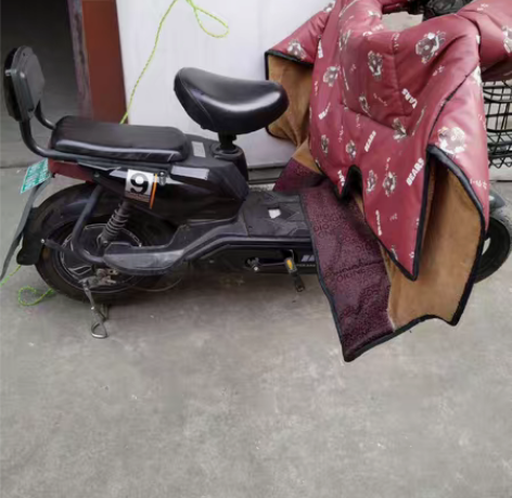 闲置电动车一辆，同城自提，不议价 感兴趣的...