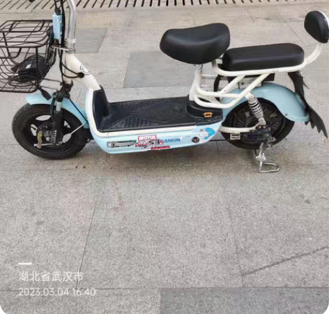 包邮武汉个人电动车电瓶车代步电动车双人电动...