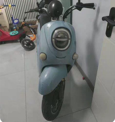 个人电动车 搬家去别的城市不好带 有牌 充...