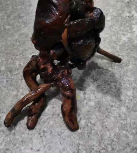 包邮桃金娘木桩己打磨好涂了清油水族家居摆件...