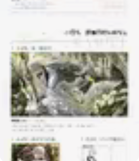 【收】光与夜之恋设定集/美术集特典礼包 只...