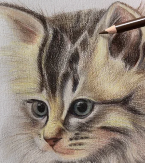 包邮纯手绘猫咪彩铅画，招财猫，巨好看，断断...