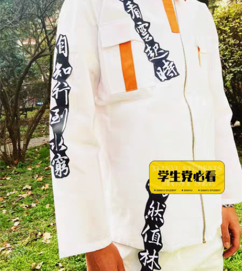 服装设计作业 无纺布成衣 两套成衣 细节来...