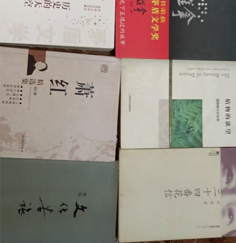 正版青春文学你未曾坠落星海南薄荷 永不永不...